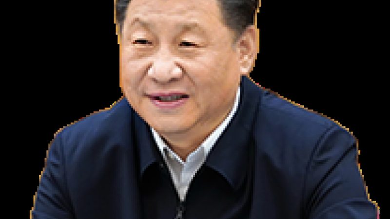 东莞色母粒与色粉：如何选择优质品牌**